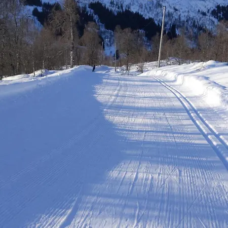 I Myrkdalen Semesterbostad *