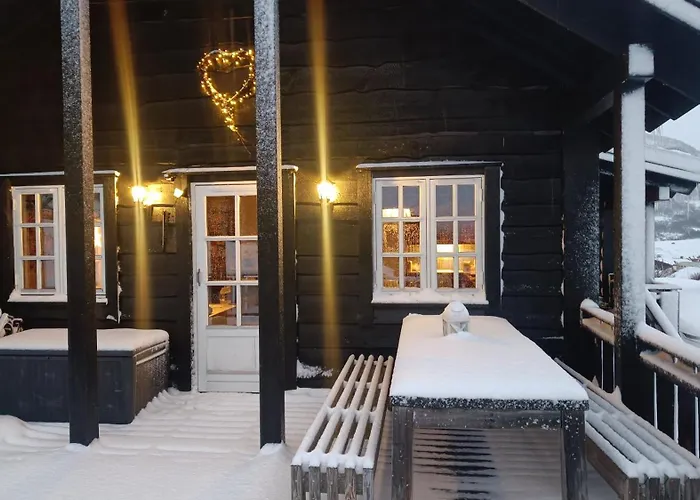 Prázdninový dům I Myrkdalen Helgatun