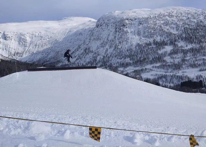 I Myrkdalen * Helgatun
