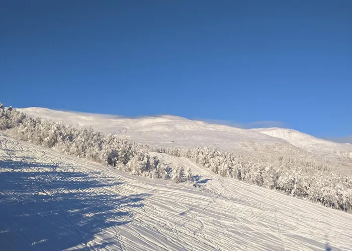 I Myrkdalen