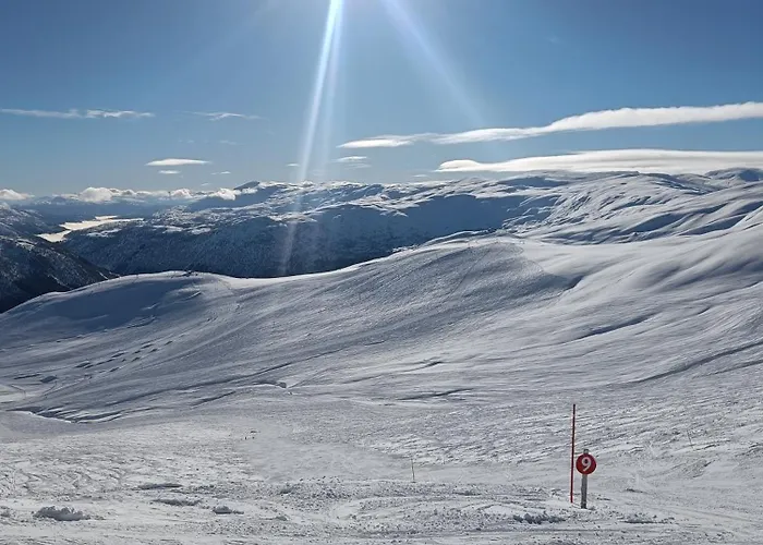 Prázdninový dům I Myrkdalen Helgatun