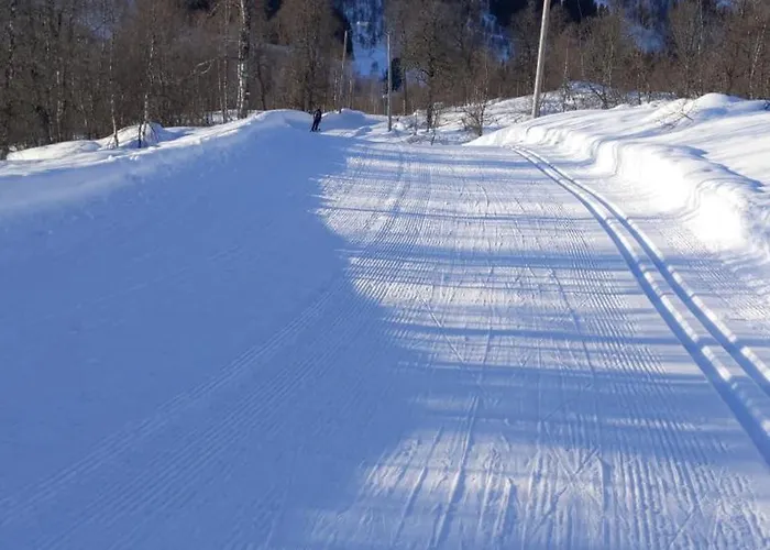 I Myrkdalen Prázdninový dům *