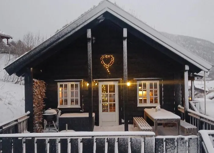 I Myrkdalen