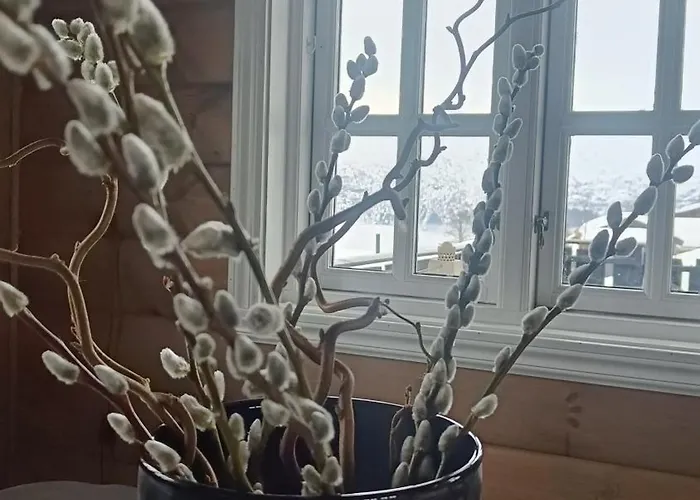 I Myrkdalen