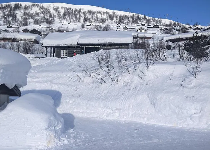 I Myrkdalen *