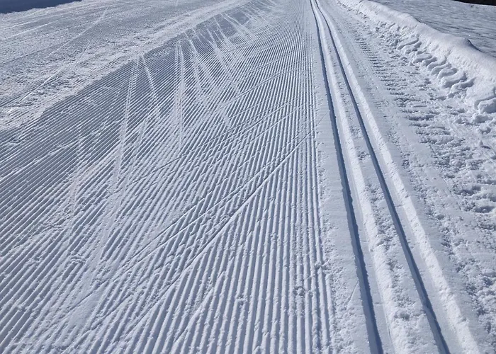 I Myrkdalen *