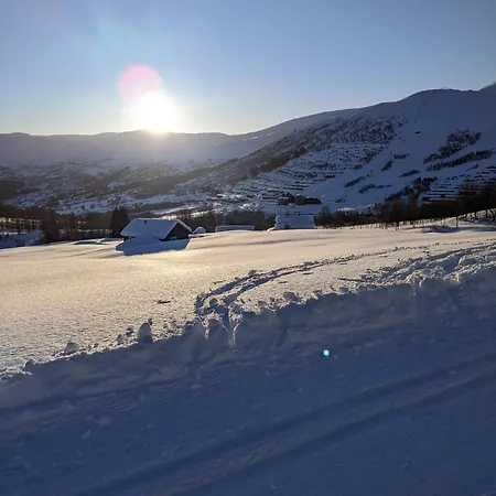 I Myrkdalen *