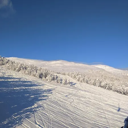 I Myrkdalen