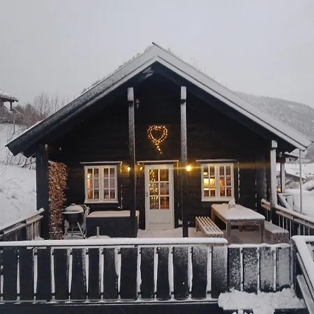 I Myrkdalen
