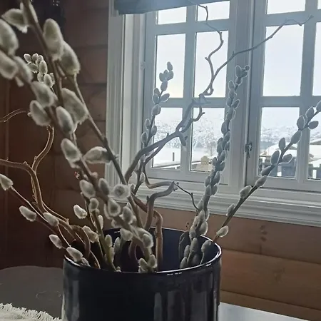 I Myrkdalen