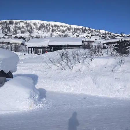 I Myrkdalen *