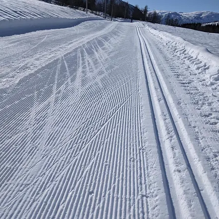 I Myrkdalen *